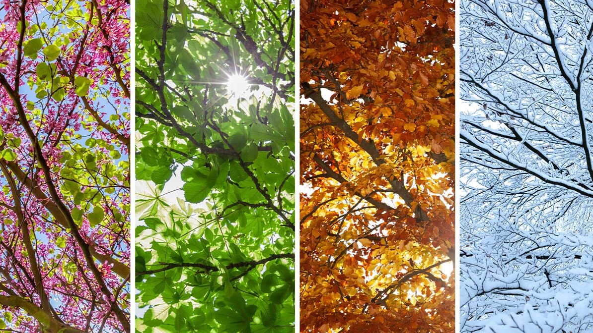 Trusting God Through Every Season