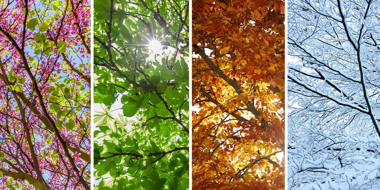 Trusting God Through Every Season