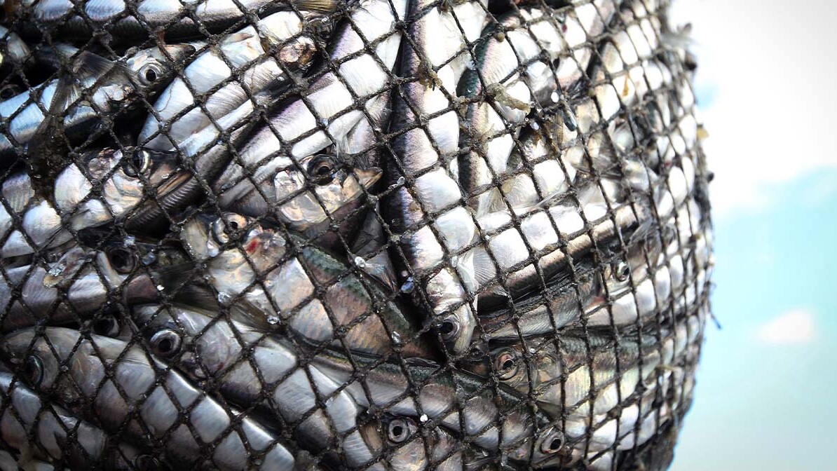 Obedience That Opens the Door to Abundance