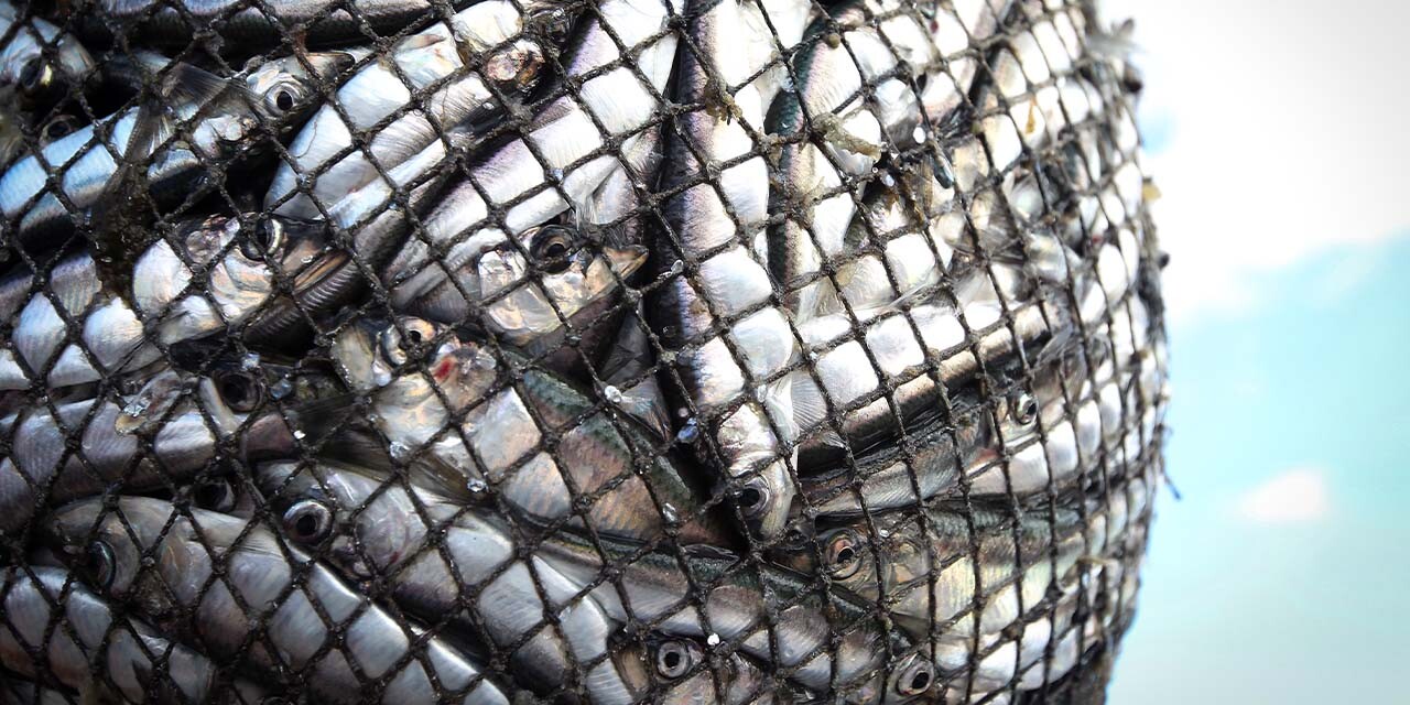 Obedience That Opens the Door to Abundance