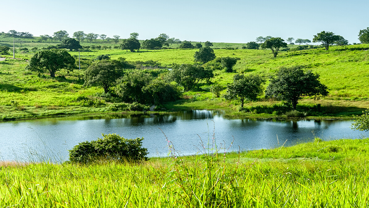 Spend Time in His Presence