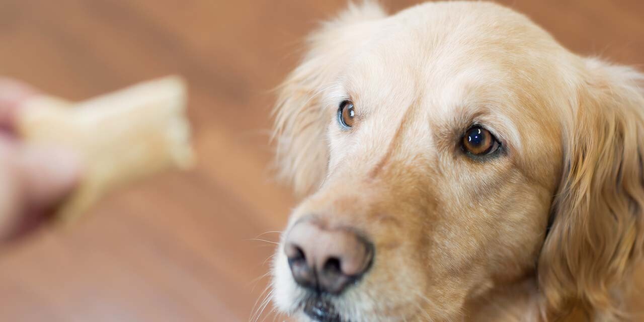 Can't Get No Satisfaction