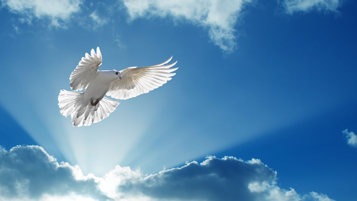 What Does the Holy Spirit Do