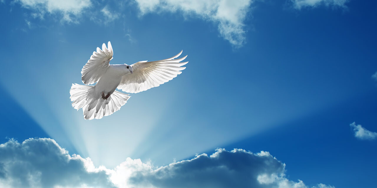 What Does the Holy Spirit Do