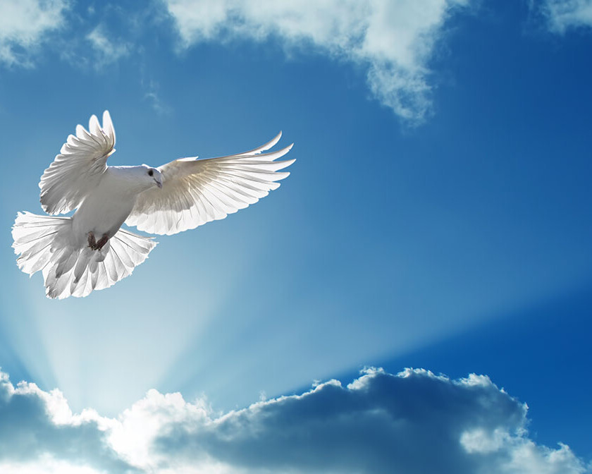 What Does the Holy Spirit Do