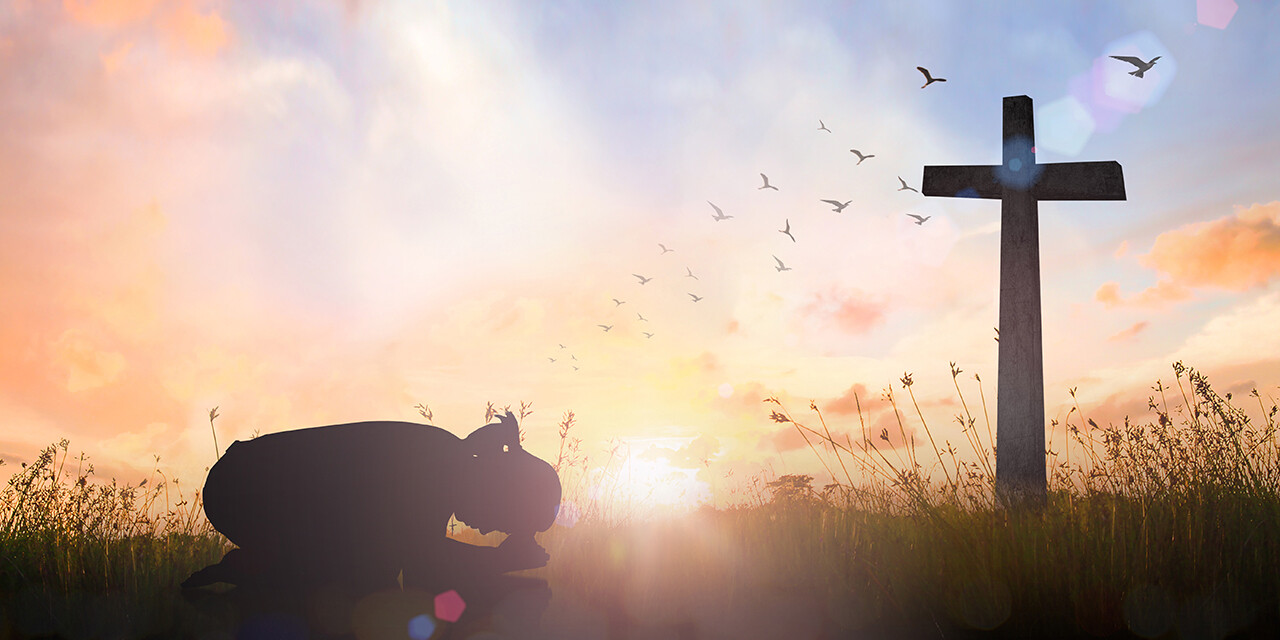 When Humility Turns Away Wrath