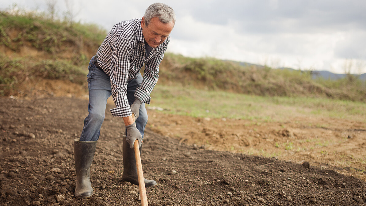 Breaking Up the Fallow Ground of Your Heart