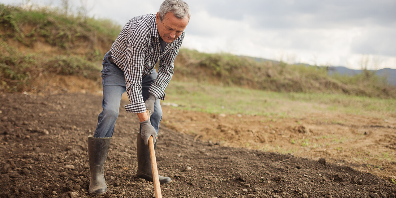 Breaking Up the Fallow Ground of Your Heart