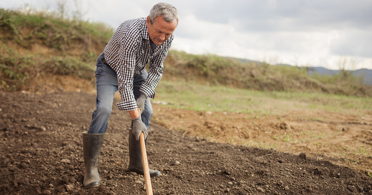 Breaking Up the Fallow Ground of Your Heart