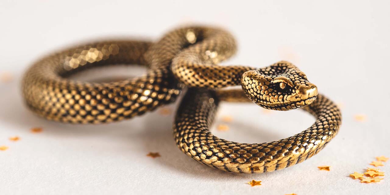 bronze serpent meaning