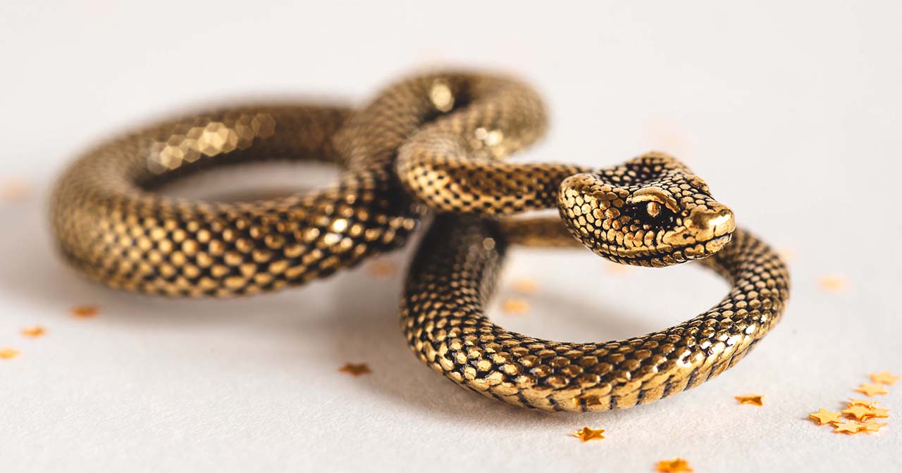 bronze serpent meaning