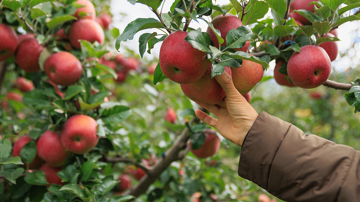 bearing spiritual fruit