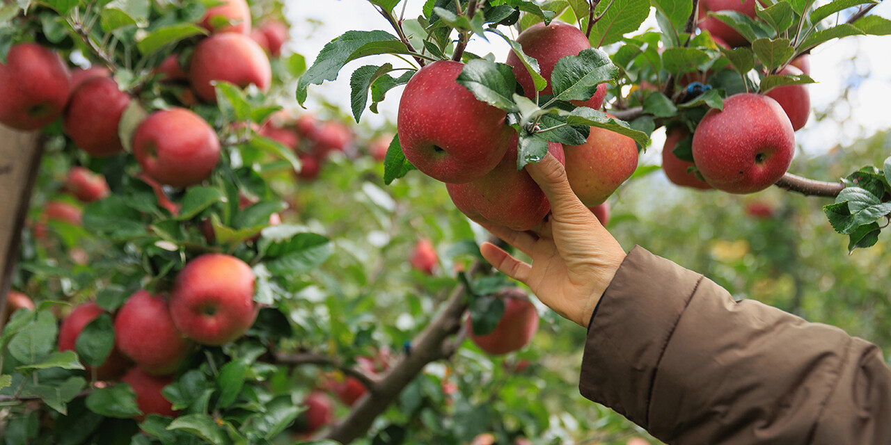 bearing spiritual fruit