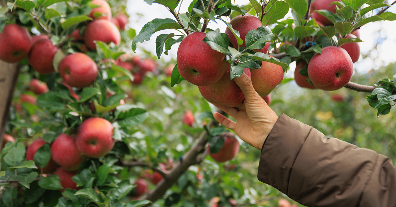 bearing spiritual fruit