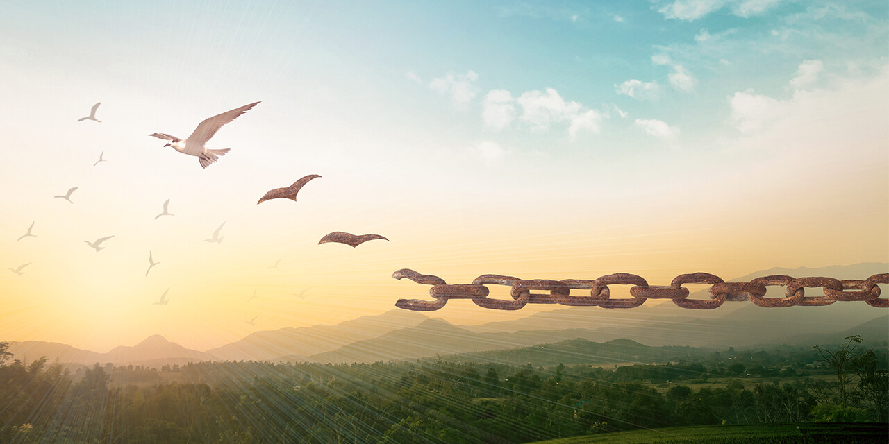 sin offering Leviticus 4 meaning