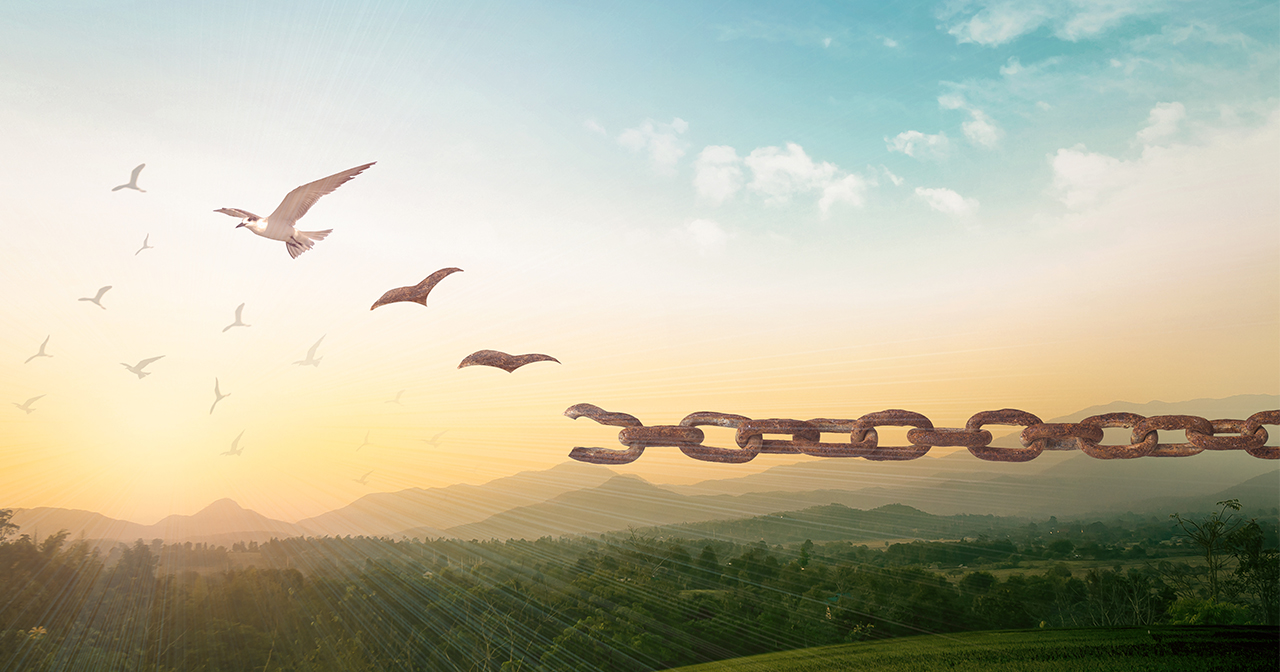 Birds flying into the sky as they break free from chains.